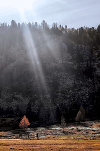 two people near orange leaf tree beside mountain with sun rays thumbnail