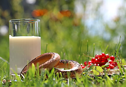 photo of doughnuts and milk on top of green grass during daytime thumbnail