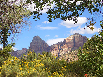 View of Zion Canyon in Zion National Park, Utah thumbnail