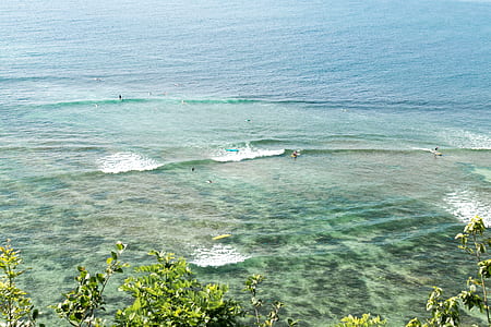 body of water near green leafed trees thumbnail