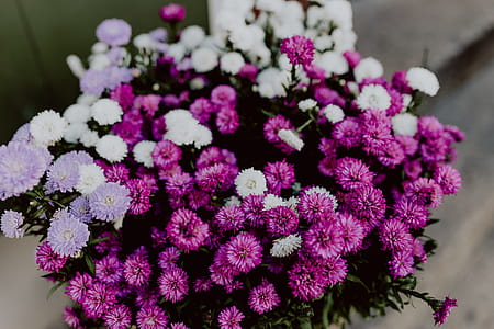 Pumpkins and flowers as decoration on stairs thumbnail