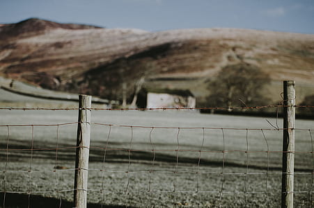 closeup photo of gray link fence thumbnail