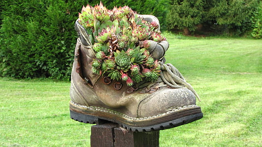 leather boots with green leaf plant closeup photo thumbnail