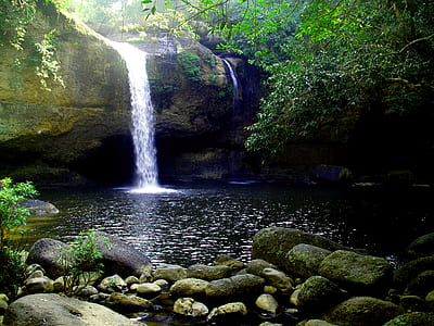 landscape, nature, sunny, water thumbnail