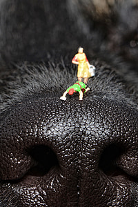 two action figure toys on animal nose thumbnail