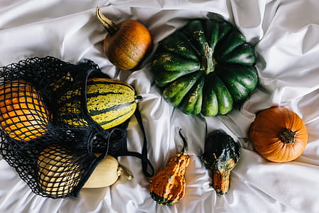 Variety of Pumpkins thumbnail
