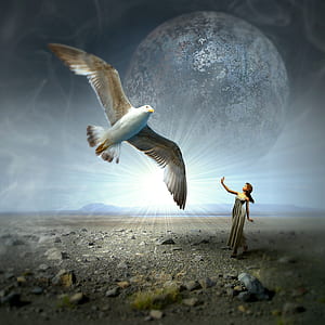 woman in white dress looking at bird thumbnail