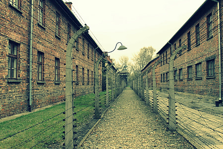 landscape photo of pathway between barbwire fence and building thumbnail