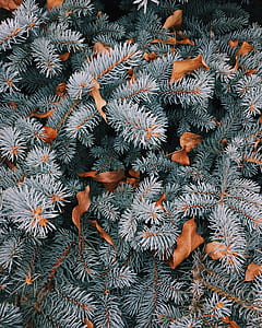 green plastic tree decir thumbnail