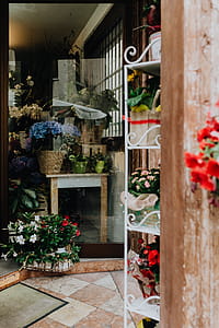 Flower shop in Castelfranco Veneto, Italy thumbnail