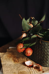 bunch of round red fruit thumbnail