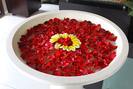 bowl with water and rose petals thumbnail