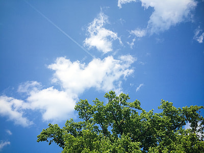 Clouds with Tree thumbnail