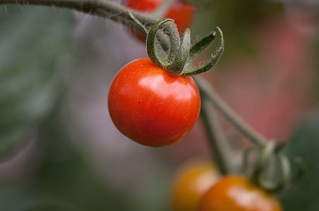 close-up photo of red tomato thumbnail