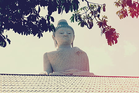 close-up photography of Buddha statue at daytime thumbnail