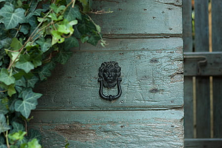 brass lion doorknocker thumbnail