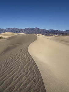 dune desert thumbnail