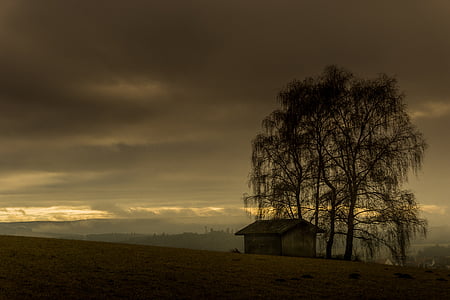 brown wooden house thumbnail