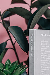 nature, blur, plants, green thumbnail