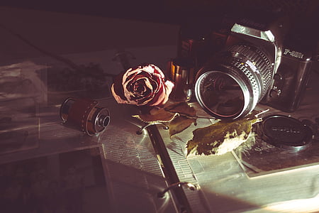 black camera beside rose flower on table thumbnail
