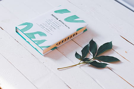 green leaf beside book thumbnail