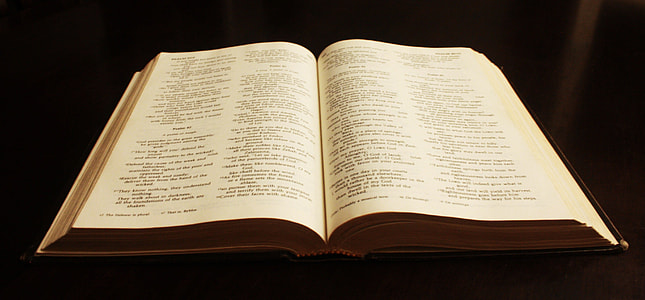 photography of opened book on black table thumbnail