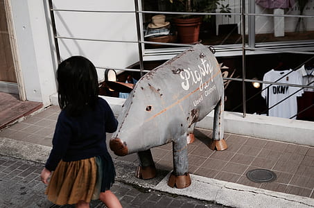 gray steel pig decor thumbnail