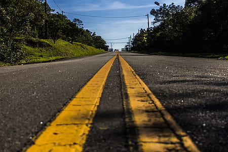 Road in Between Green Tree Under White Clouds and Blue Sky thumbnail