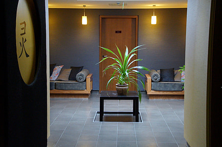 potted green long leaf plant on black wooden table near brown wooden door between grey fabric sofa with throw pillows thumbnail