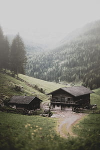 black wooden house near palm trees thumbnail