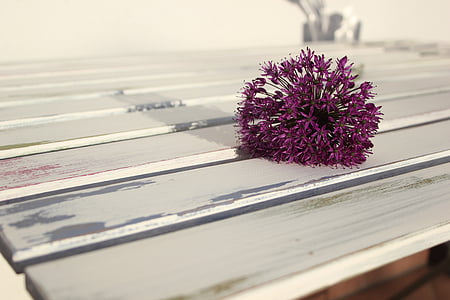 pink flowers on table thumbnail