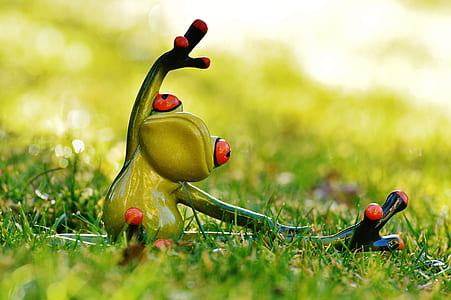 green frog seating of grass thumbnail