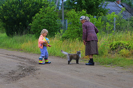 cat between toddler and woman near green grass field thumbnail