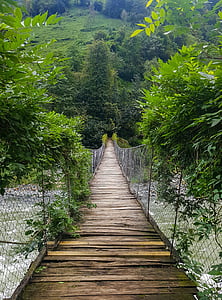bridge near trees during daytime thumbnail