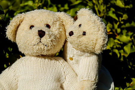 two brown bear plush toys thumbnail