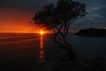 green tree beside ocean at sunset thumbnail