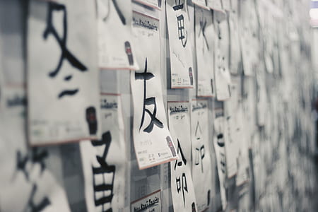 selective focus photography of papers on wall thumbnail