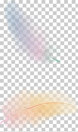 The Floating Feather Flight Bird, Feather , two pink and yellow feathers PNG clipart