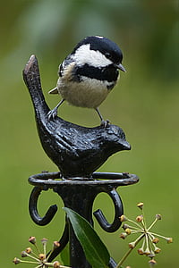 white and black bird on black bird metal sculpture thumbnail