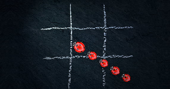five ladybirds thumbnail