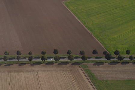 wood, road, landscape, nature thumbnail