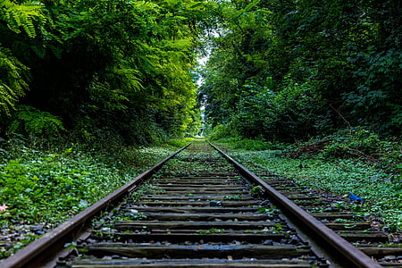 nature, forest, industry, rails thumbnail