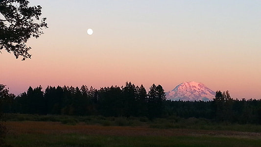 Dusk landscape view with moon of Mount Rainier National Park, Washington thumbnail
