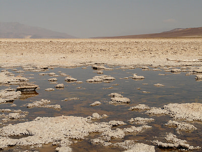 low tide coast thumbnail