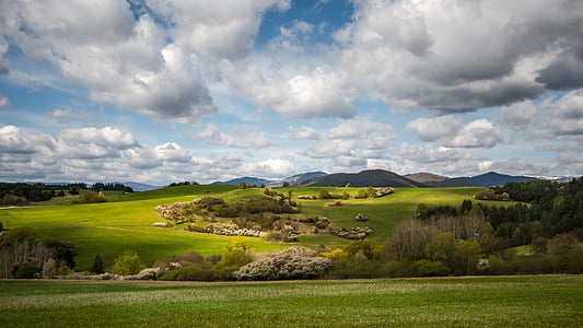 photo of green grass field during daytime thumbnail