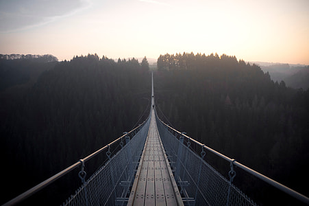 hanging foot bridge during dusk thumbnail