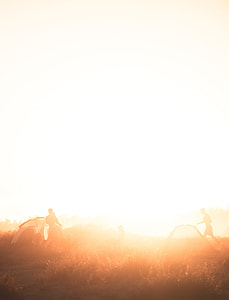 silhouette of man in brown field thumbnail