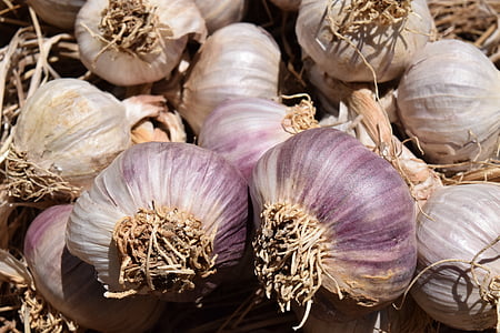 bunch of red onions thumbnail