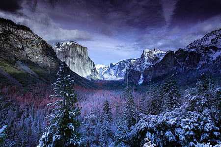 aerial photography of snow-covered forest thumbnail