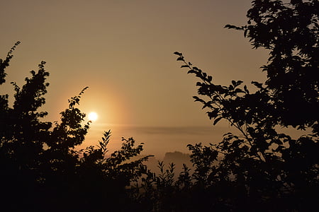 silhouette of plant background of mountain thumbnail